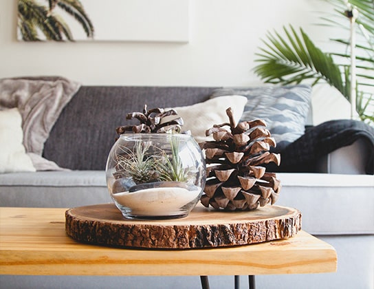 Dingemans Makelaardij in Arnhem